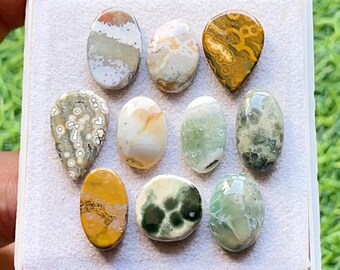Selected Ocean Jasper Cabochon Loose Gemstone 10 Pcs Lot For Jewelry Making | Size : 19-13 MM | Natural Ocean Jasper Small Size Lot - 21655