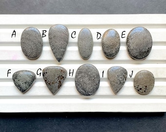 Latest Black Fossil Coral Cabochon Loose Gemstone For Jewelry Making, Fossil Coral Gemstone For Handmade Jewelry And Wire Wrap - 30813-30822