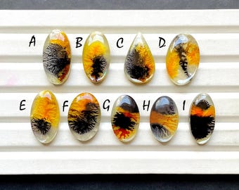 Selected Scenic Agate Doublet Cabochon Loose Gemstone For Jewelry Making, AAA+ Synthetic Scenic Agate Doublet For Wire Wrap - 32142-32150