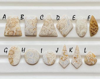 Beautiful Fossil Coral Cabochon Loose Gemstone For Jewelry Making, AAA+ Natural Fossil Coral Gemstone Cabochon For Wire Wrap - 24618-24629