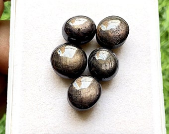 Golden Sapphire Cabochon Flat Back Gemstone 5 Pcs Lot | Size 12-13 MM | AAA+ Natural Golden Sapphire Cabochon Used For Jewelry Making - 6725