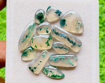 Moss Agate Gemstone Cabochon With Flat Back 12 Pieces Gemstone Lot | Size : 21-9 MM | AAA+ Natural Moss Agate For Handmade Jewelry - 28460