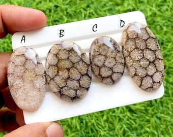 Desert Matrix Fossil Coral Loose Cabochon For Wire Wrap, AAA+ Natural Geometric Flower Grid Gemstone For Jewelry Makings - 35971-35974