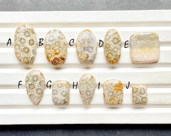 Beautiful Fossil Coral Cabochon Loose Gemstone For Jewelry Making, AAA+ Natural Fossil Coral Gemstone Cabochon For Wire Wrap - 28102-28111