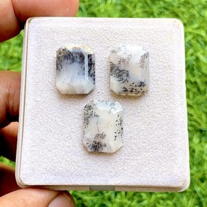 May include: Three rectangular dendritic agate gemstones, each displaying unique patterns of grey and white. The stones are presented in a white box, highlighting their polished surfaces and faceted edges.