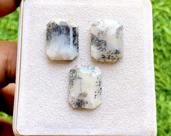 Dendritic Opal 13x17 MM Rectangle Shape Step Cut Loose Gemstone 3 Pieces Lot, AAA+ Natural Dendritic Opal Flat Back Gemstone Lot For Jewelry