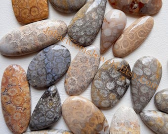 Fossil Coral Cabochon, Wholesale Lot Fossil Coral Cabochon By Weight With Different Shapes And Sizes Used For Jewelry Making