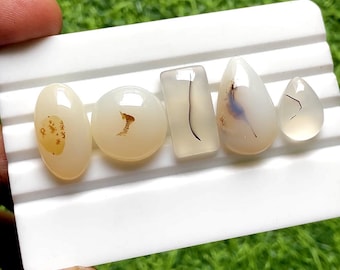 Scenic Agate Cabochon 5 Pieces Loose Gemstone Lot For Jewelry Making | Size : 24-15 MM | AAA+ Natural Scenic Agate For Jewelry - 32654
