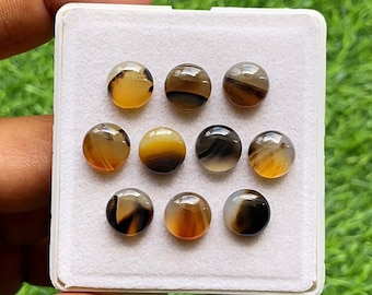 Montana Agate Round Cabochon Gemstone 10 Pieces Lot | Size : 10 MM | Natural AAA+ Montana Agate Cabochon Used For Handmade Jewelry
