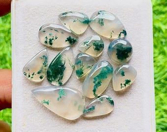 Moss Agate Gemstone Cabochon With Flat Back 12 Pieces Gemstone Lot | Size : 23-10 MM | AAA+ Natural Moss Agate For Handmade Jewelry - 28459