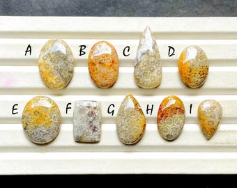 Beautiful Fossil Coral Cabochon Loose Gemstone For Jewelry Making, AAA+ Natural Fossil Coral Gemstone Cabochon For Wire Wrap - 33826-33834