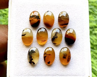 Montana Agate Calibré Forme Ovale Cabochon Avec Dos Plat 10 Pièces Lot | Taille : 8X12 MM | AAA+ Montana Agate utilisée pour la fabrication de bijoux