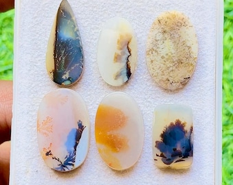 Scenic Agate Cabochon 6 Pieces Loose Gemstone Lot For Jewelry Making | Size : 25-17 MM | AAA+ Natural Scenic Agate For Jewelry - 29446