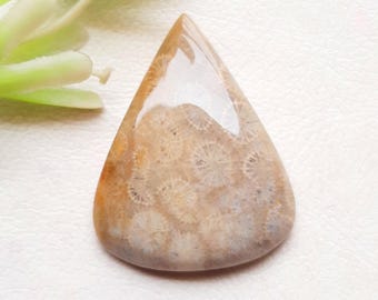 Fossil Coral Cabochon Loose Gemstone For Jewelry Making, AAA+ Natural Fossil Coral Gemstone For Handmade Jewelry And Wire Wrap - 25573-25576