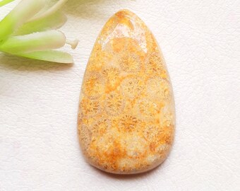 Fossil Coral Cabochon Loose Gemstone For Jewelry Making, AAA+ Natural Fossil Coral Gemstone For Handmade Jewelry And Wire Wrap - 25577-25580