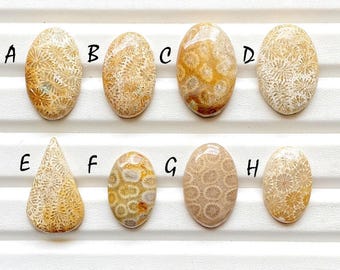 Beautiful Fossil Coral Cabochon Loose Gemstone For Jewelry Making, AAA+ Natural Fossil Coral Gemstone Cabochon For Wire Wrap - 2634-26349