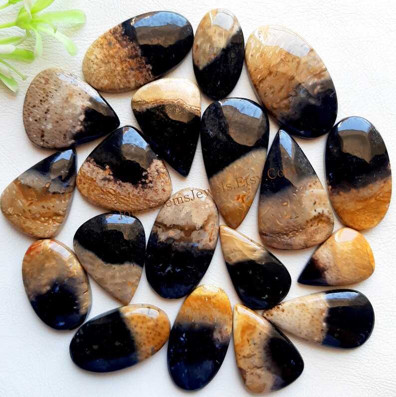 May include: A collection of polished, smooth, oval and teardrop-shaped cabochons featuring a distinct color split between deep black and earthy tan or beige tones. Each stone displays a glossy finish with visible natural textures and patterns.