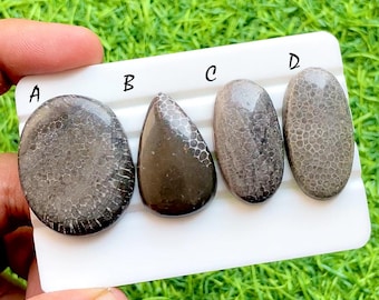 Ancient Ocean Fossil Coral Cabochon For Wire Wrap, Natural Coral Gemstone, Earthy Brown Prehistoric Pattern Stones for Jewelry - 35979-35982