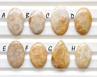 Beautiful Fossil Coral Cabochon Loose Gemstone For Jewelry Making, AAA+ Natural Fossil Coral Gemstone Cabochon For Wire Wrap - 26326-26333