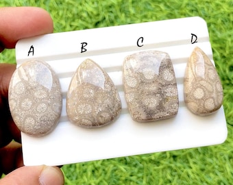 Golden Reef Fossil Coral Cabochon For Jewelry, Natural Flower Pattern Coral Gemstones, Ocean Inspired Designer Jewelry Stones - 35574-35577