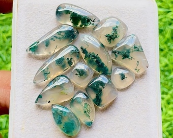 Moss Agate Gemstone Cabochon With Flat Back 12 Pieces Gemstone Lot | Size : 22-8 MM | AAA+ Natural Moss Agate For Handmade Jewelry - 28464