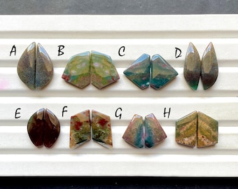 RARE BLOOD Moss Agate Pair Cabochon Loose Gemstone For Jewelry Making, AAA+ Natural Blood Moss Agate Matching Pair For Earrings- 30346-30253