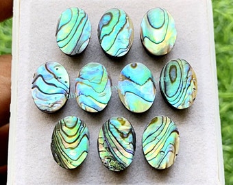 Abalone Shell Calibrated Oval Shape Cabochon With Flat Back 10 Pieces Lot | Size : 10X14 MM | AAA+ Abalone Shell Used For Jewelry Making