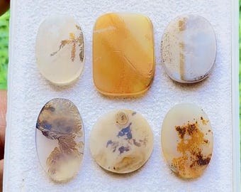 Scenic Agate Cabochon 6 Pieces Loose Gemstone Lot For Jewelry Making | Size : 21-15 MM | AAA+ Natural Scenic Agate For Jewelry - 29449