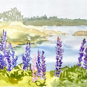 Watercolor of Mackerel Cove, Bailey Island, Maine. Lupins at Casco Bay. 8x10" Matted Fine Art  Print