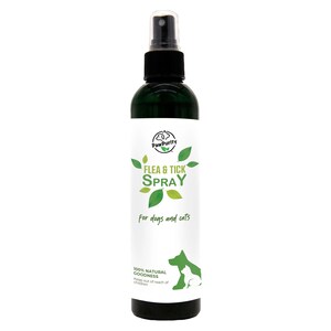 Puede incluir: Botella verde de spray para pulgas y garrapatas para perros y gatos. La botella tiene una etiqueta blanca con hojas verdes y el texto "Paw Purity Flea & Tick Spray for dogs and cats 100% Natural Goodness Keep out of reach of children".