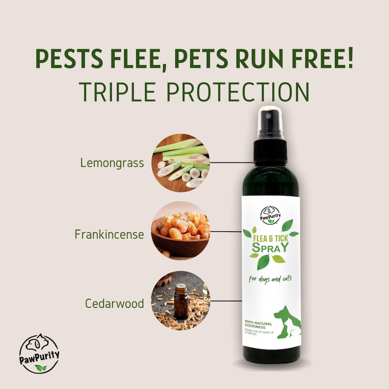 Puede incluir: Una botella verde de spray antipulgas y garrapatas PawPurity para perros y gatos. La botella est&aacute; etiquetada con el nombre del producto y los ingredientes, incluyendo la hierba de lim&oacute;n, el incienso y la madera de cedro. 100% bondad natural.