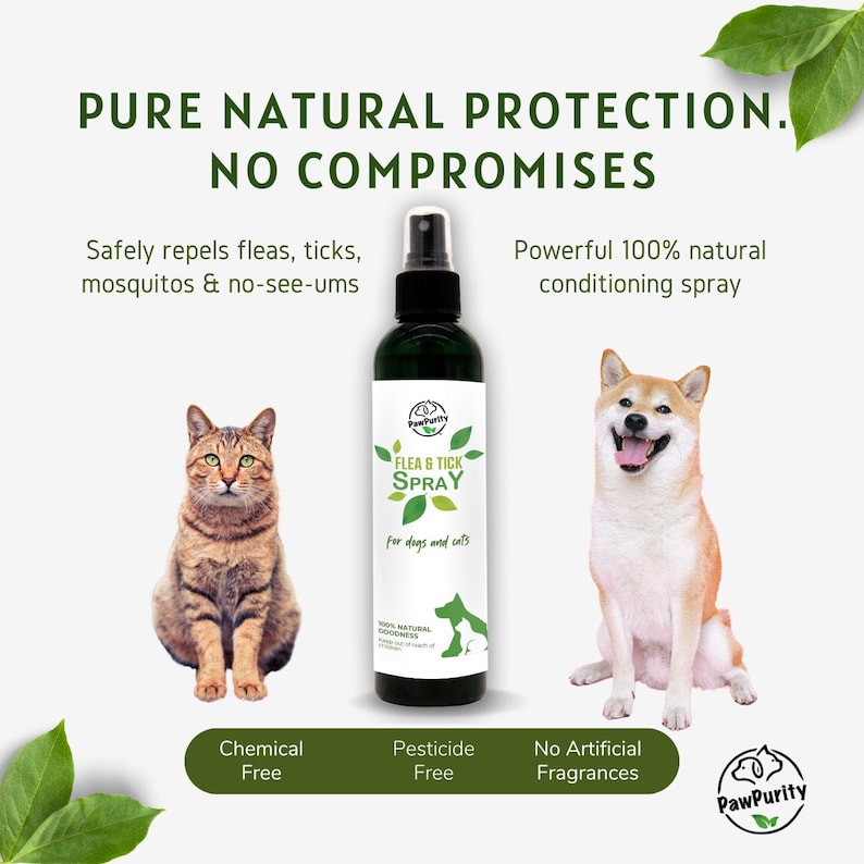 Puede incluir: Una botella verde de spray antipulgas y garrapatas PawPurity para perros y gatos. La botella est&aacute; etiquetada con 100% de bondad natural. El spray es libre de qu&iacute;micos, pesticidas y no contiene fragancias artificiales. Se muestra un gato y un perro en el fondo.