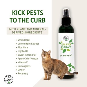 Puede incluir: Una botella verde de spray para pulgas y garrapatas para perros y gatos. La botella est&aacute; etiquetada como "Paw Purity Flea & Tick Spray" y dice "para perros y gatos". La botella est&aacute; junto a un gato atigrado marr&oacute;n.