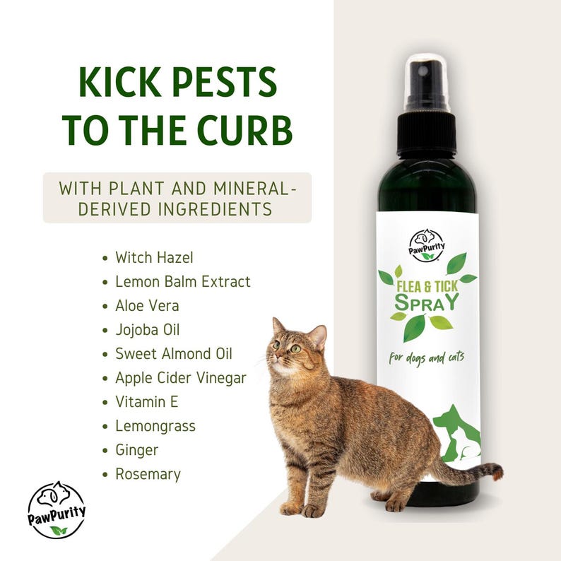 Puede incluir: Una botella verde de spray para pulgas y garrapatas para perros y gatos. La botella est&aacute; etiquetada como "Paw Purity Flea & Tick Spray" y dice "para perros y gatos". La botella est&aacute; junto a un gato atigrado marr&oacute;n.