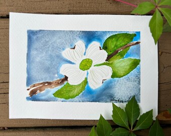 White Dogwood Flower, Tree Branch, Original Art, Watercolor, Hand Painted, Signed, Not a Print