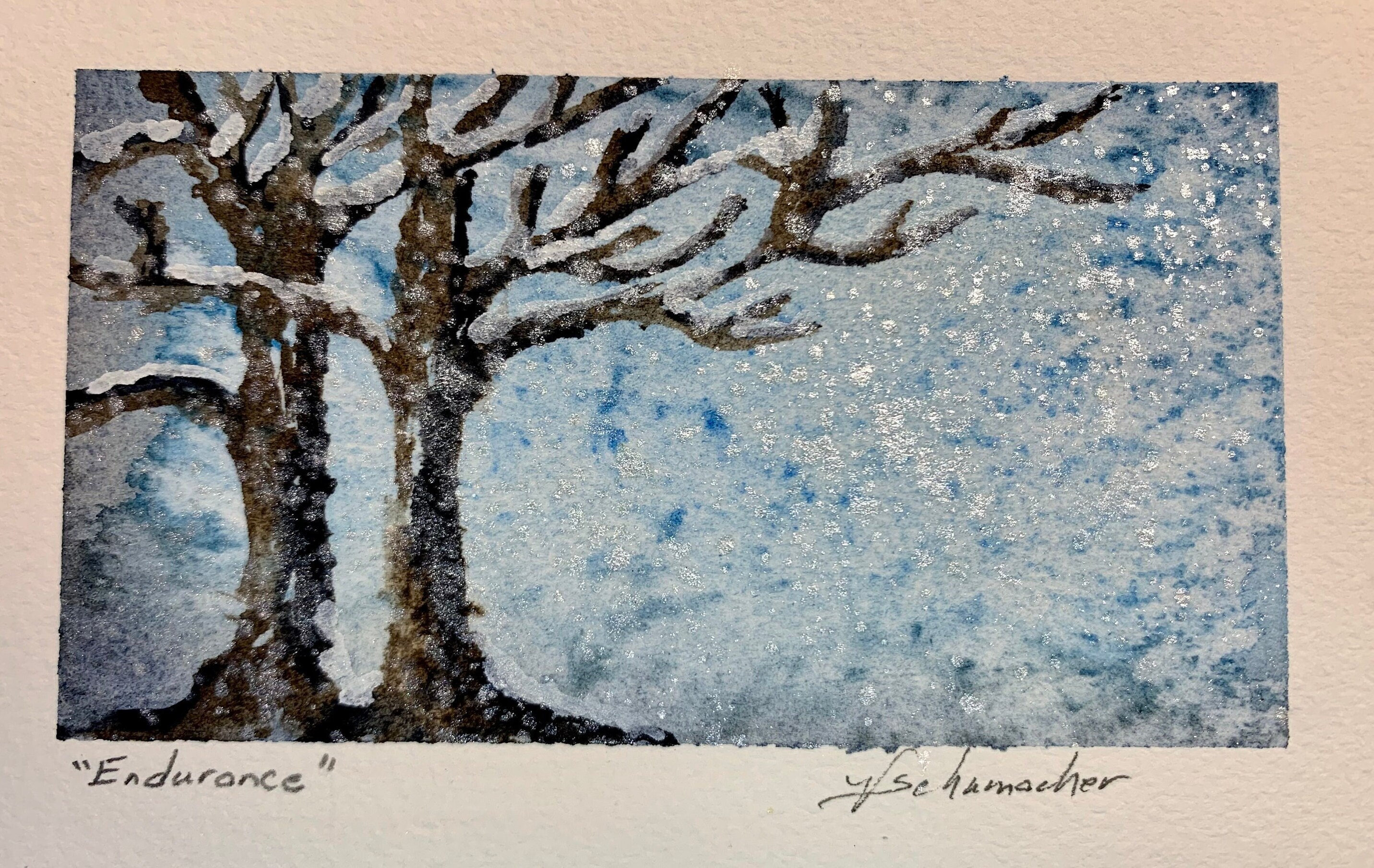 Set of 4/the Four Seasons/elm Trees/5x7 Mats Included White Etsy