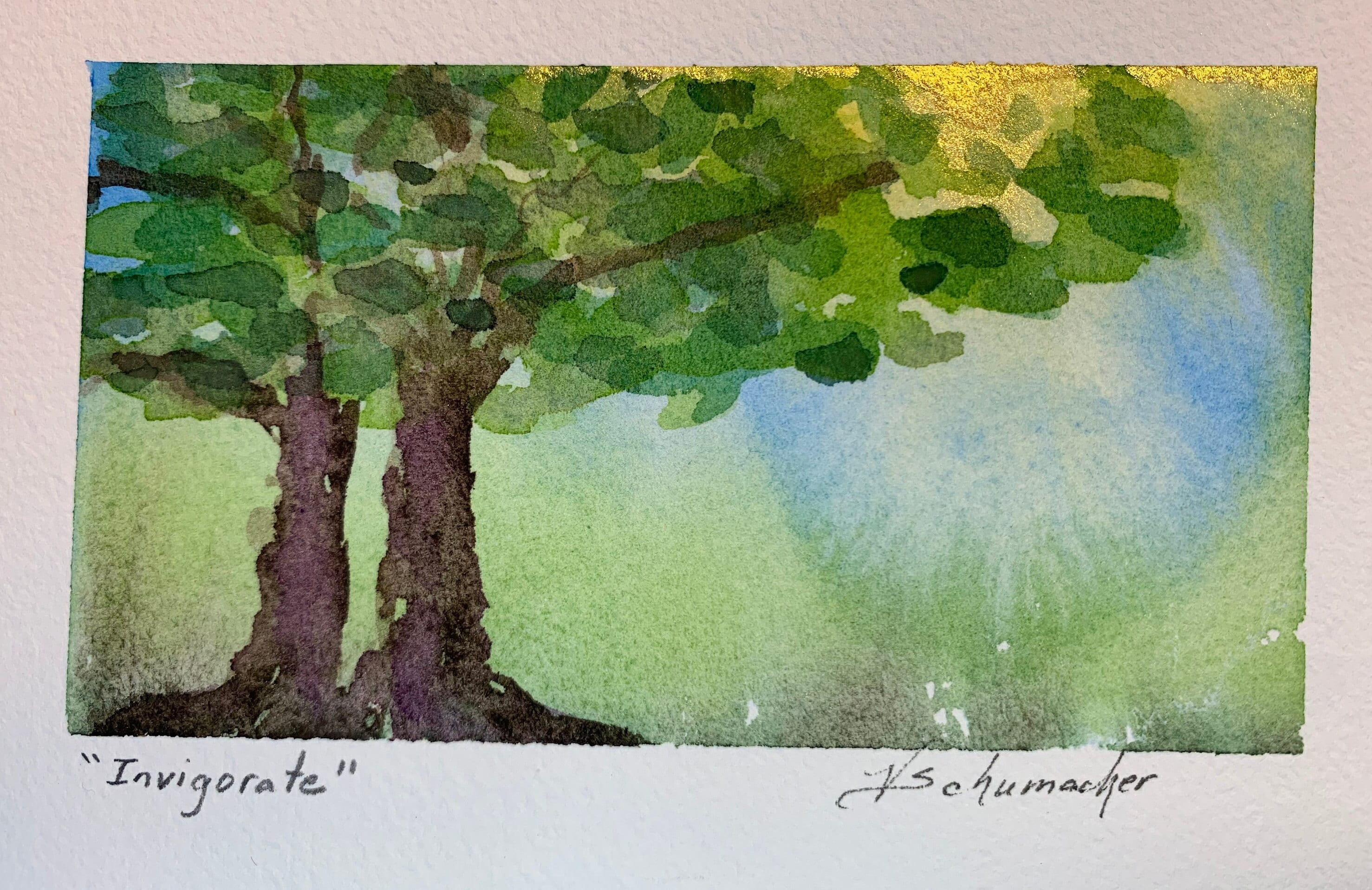 Set of 4/the Four Seasons/elm Trees/5x7 Mats Included White Etsy