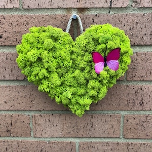 Mother’s Day Preserved moss heart