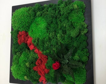 Preserved moss frame with rose