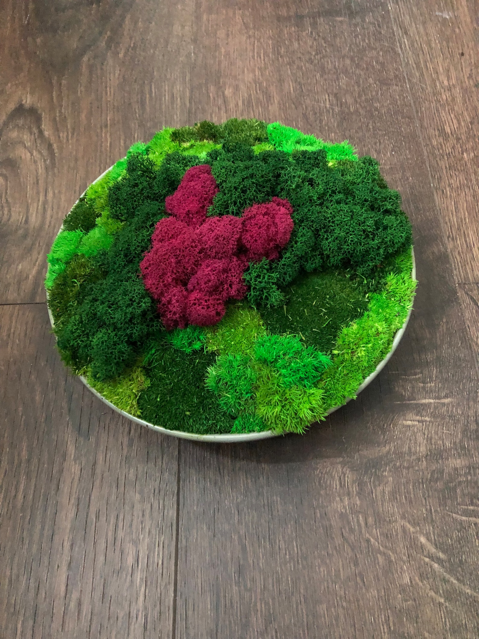 Moss Bowl With Preserved Moss Etsy