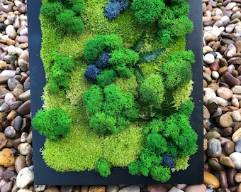 Handmade Moss frame in black