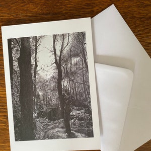 Árboles tarjeta de felicitación A5 tinta de bellas artes dibujo bosque cumpleaños celebración tarjeta de celebración