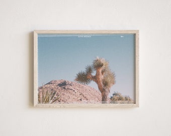 Joshua Tree Polaroid Digital Art Print, Vintage National Park Photography, California Desert Wall Decor, Multiple Sizes Included