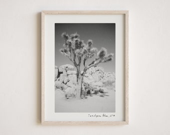 Twentynine Palms Vintage Polaroid Digital Art Print, Joshua Tree Landscape Photography, California Desert Wall Art, Multiple Sizes Included