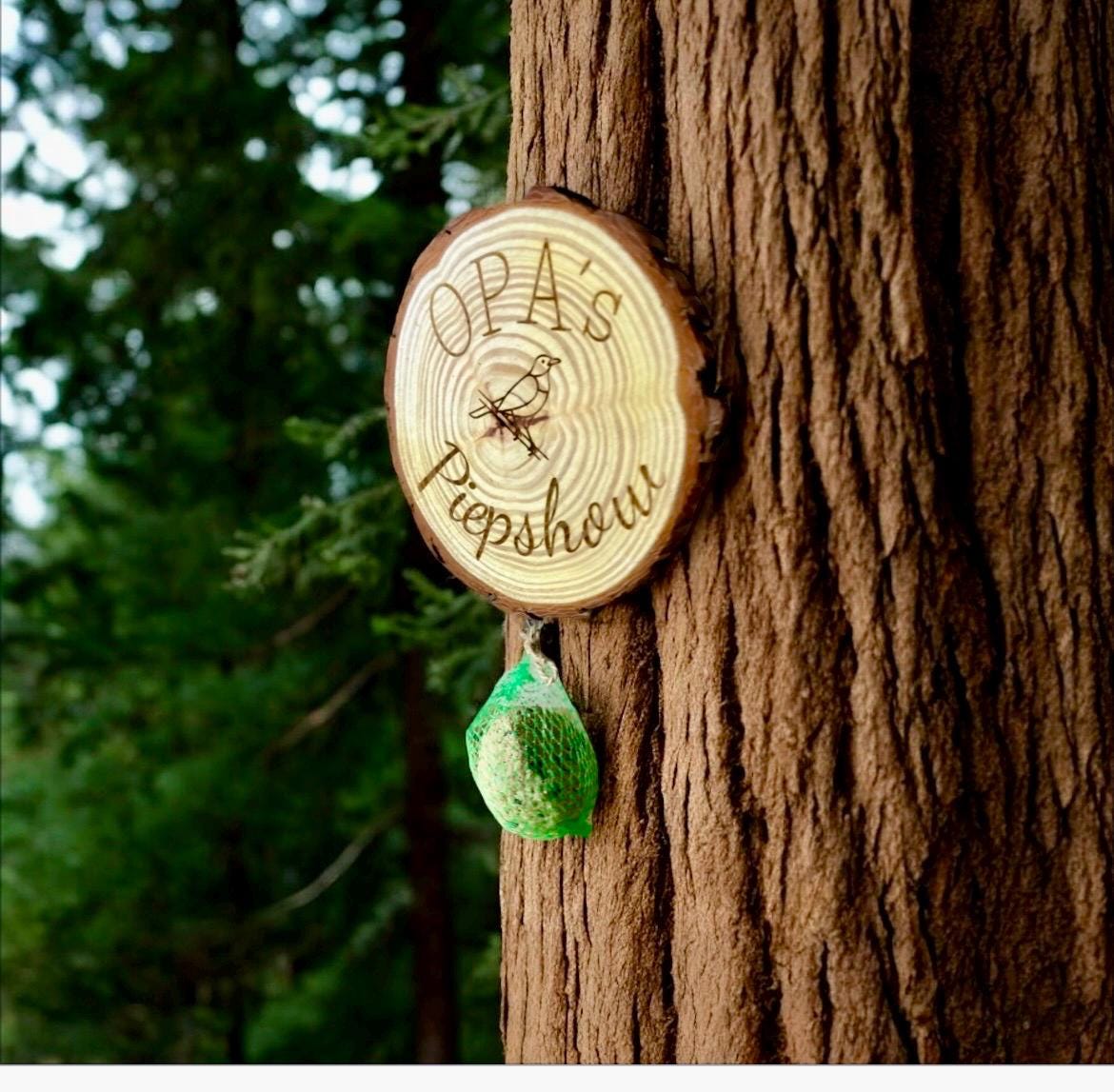 Wanduhr Selber Bauen Wanduhr Aus Baumscheibe Holzuhr Holz Wanduhr