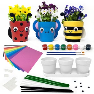May include: A craft kit for decorating flower pots with a ladybug, butterfly, and bee theme. The kit includes three terracotta pots, paint, brushes, googly eyes, pipe cleaners, and foam sheets.