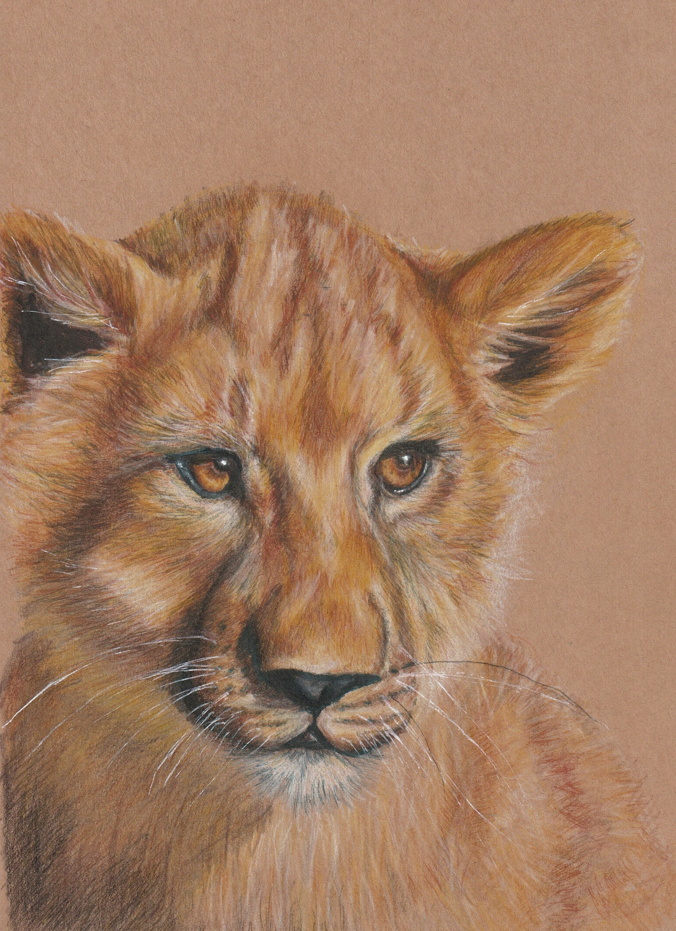 Impression d'une Illustration d'un Lionceau