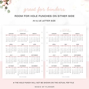 2026 Pink Yearly Calendar Printable, Year At A Glance, Desk Calendar, Vertical Layout, Sunday Monday Start, A4 Letter Size Planner Inserts image 3