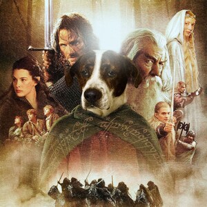 Puede incluir: Un póster de película para "El Señor de los Anillos: La Comunidad del Anillo" con un perro marrón y blanco en el centro del póster. El perro lleva una capa verde y está rodeado de personajes de la película, incluyendo Gandalf, Aragorn y Legolas.