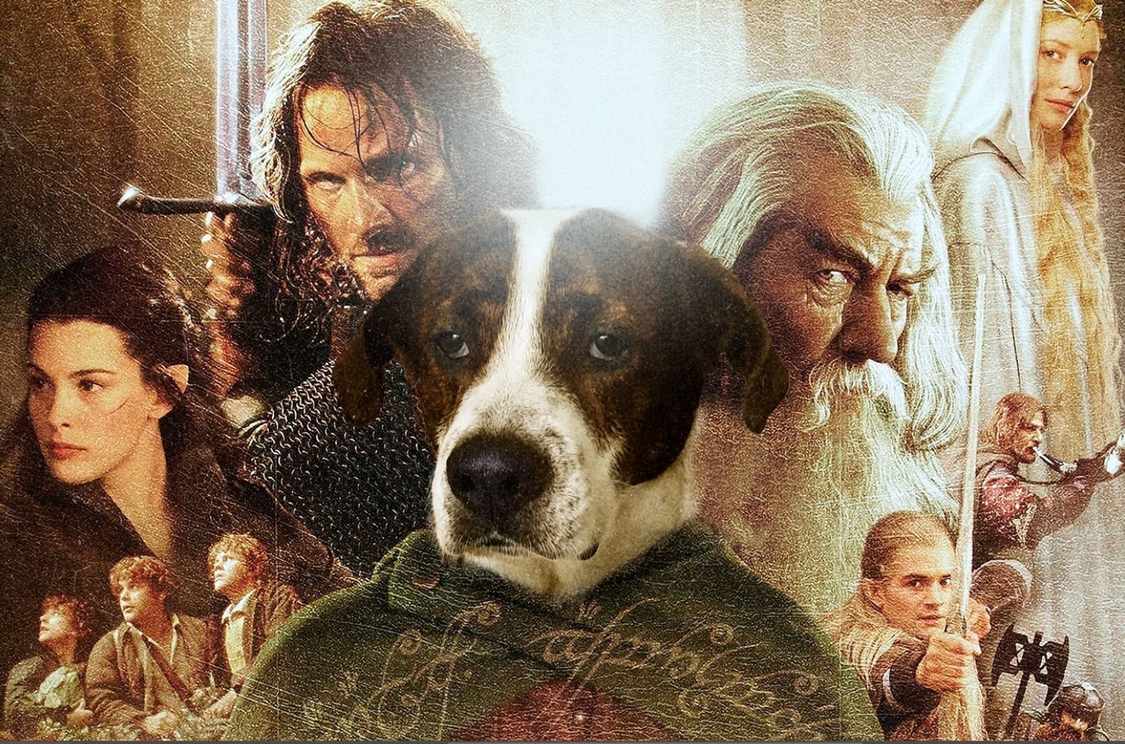 Lord of the Rings, Pet Art, Pet Painting, Pet Portrait, Custom Pet